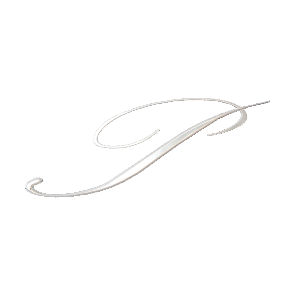 MÓ Palomo Logo en moviment