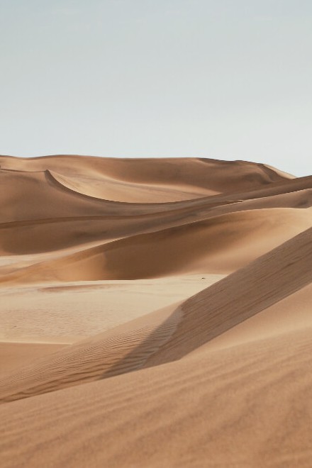 Desert Silk Road